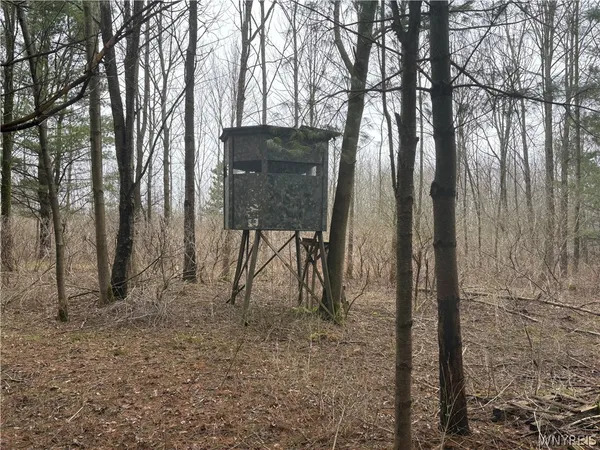 $159,900 | 4406 Telegraph Road, Pike, NY 14024