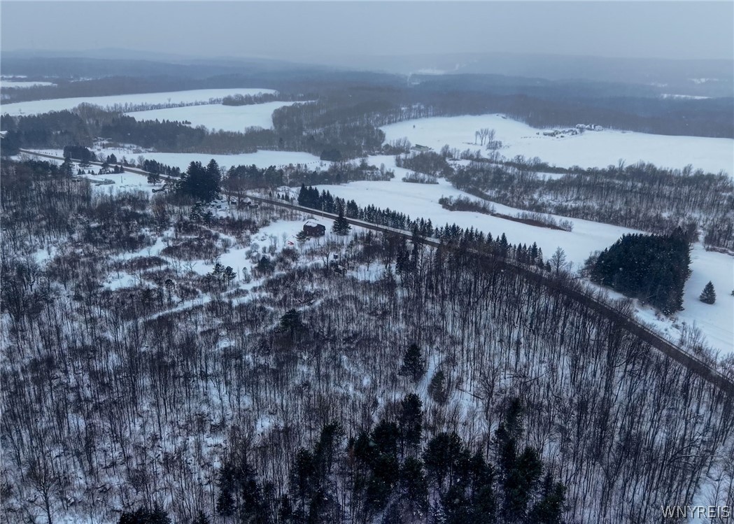 4406 Telegraph Road Pike, NY 14024 - Photo 6 of 23 Aerial View
