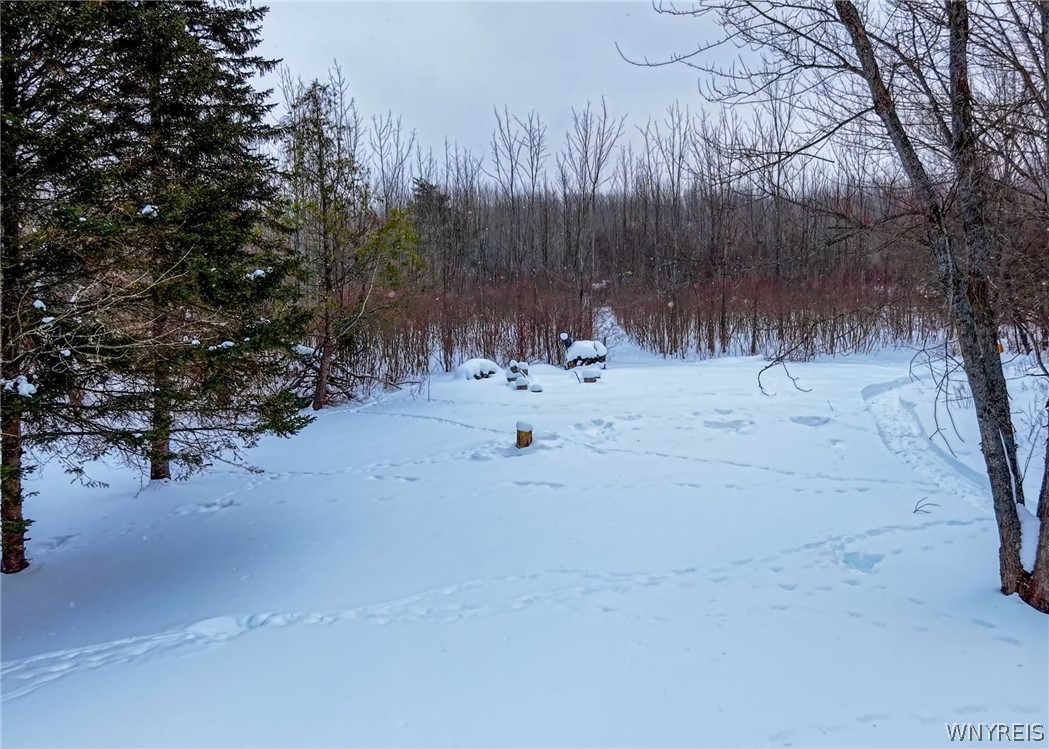 4406 Telegraph Road Pike, NY 14024 - Photo 7 of 23 Views