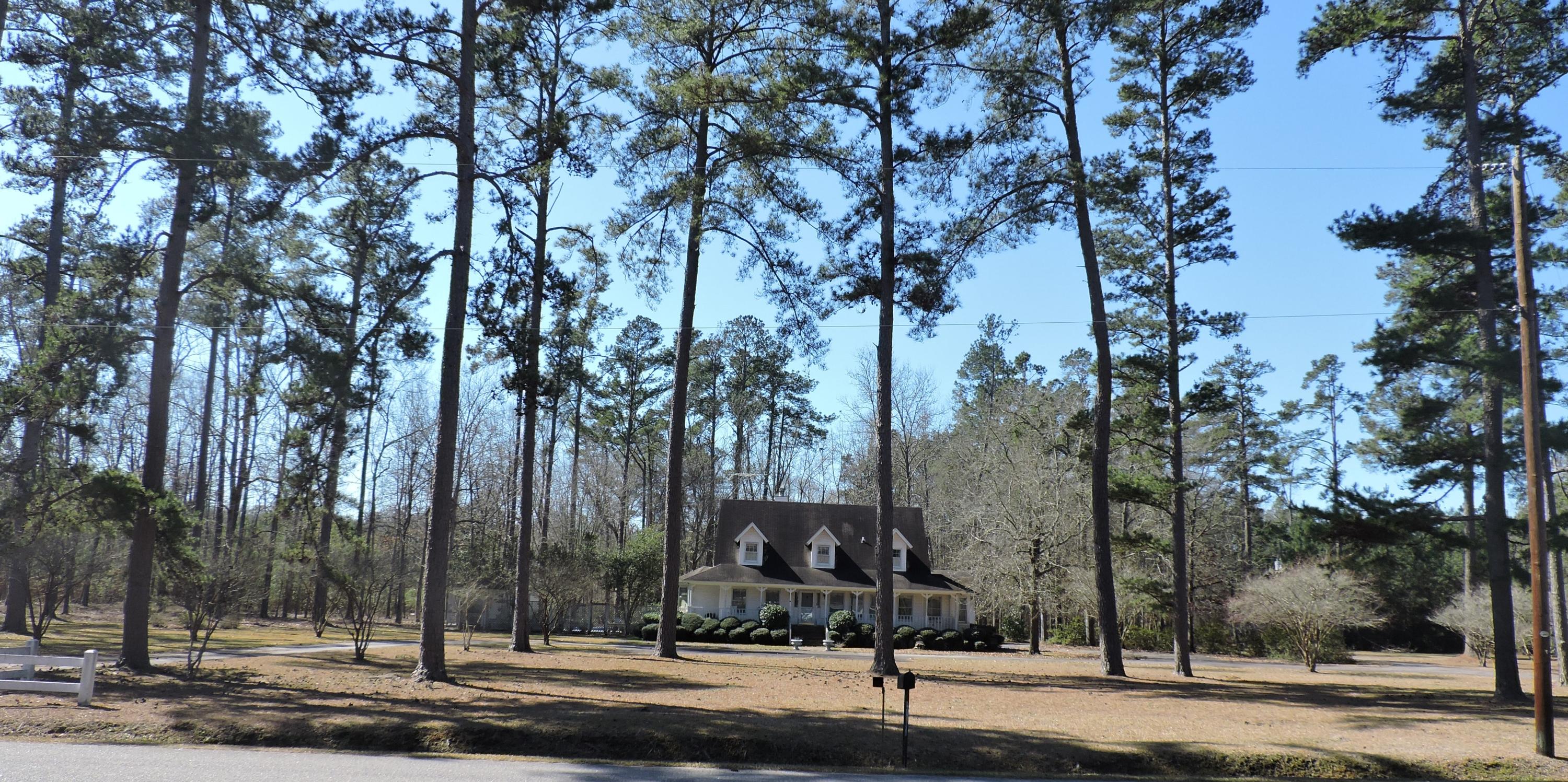 475 Double Churches Road Ruffin, SC 29475 - Photo 31 of 32 DSCN0594