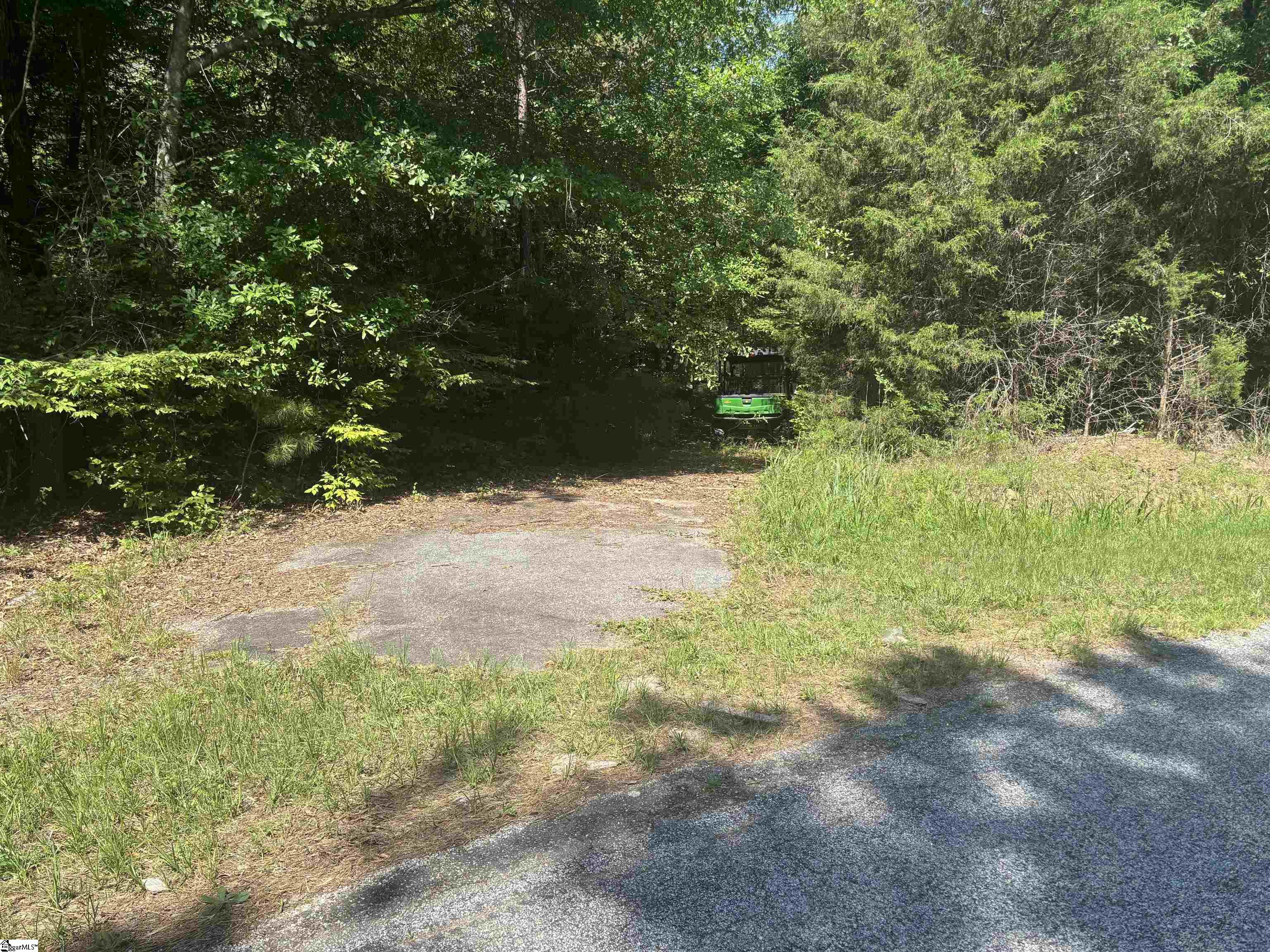 Old Calhoun Falls Road Abbeville, SC 29620 - Photo 15 of 16