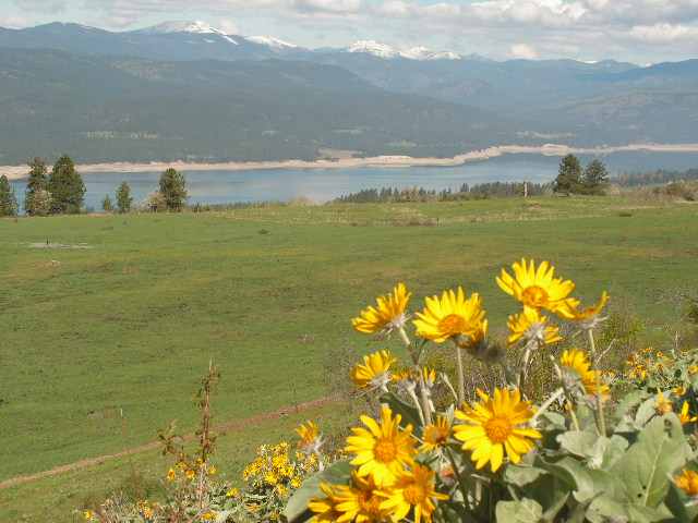 A Spirit Ridge Ranches Div 2 Gifford, WA 99131 - Photo 1 of 4