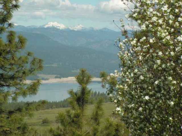 A Spirit Ridge Ranches Div 2 Gifford, WA 99131 - Photo 3 of 4