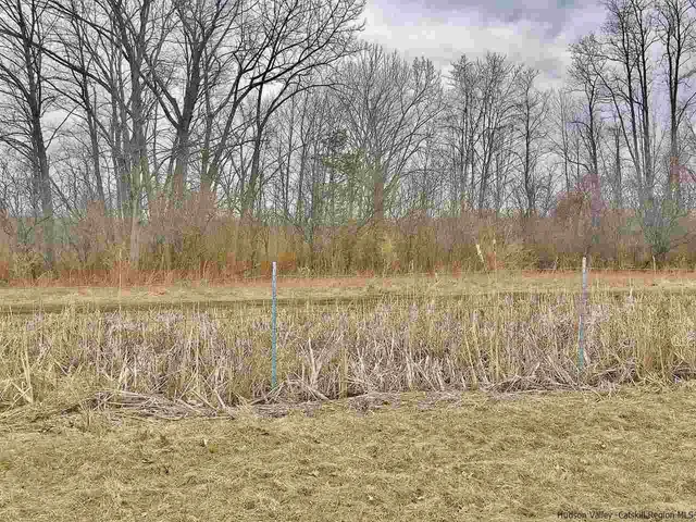 a view of an ocean beach
