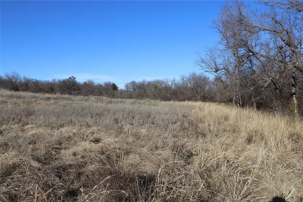 a view of a dry yard with trees