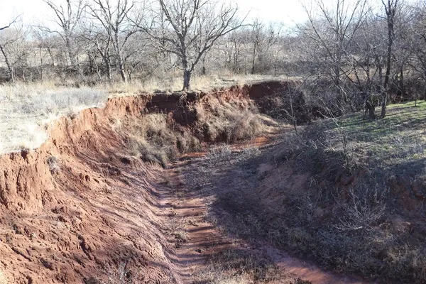 a view of a dry yard with trees
