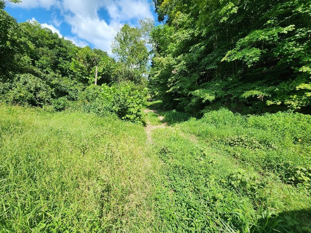 0 Taurus Farm Road Lafayette, TN 37083 - Photo 32 of 67