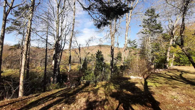 $525,000 | 188 Station Road, Mount Holly, VT 05758