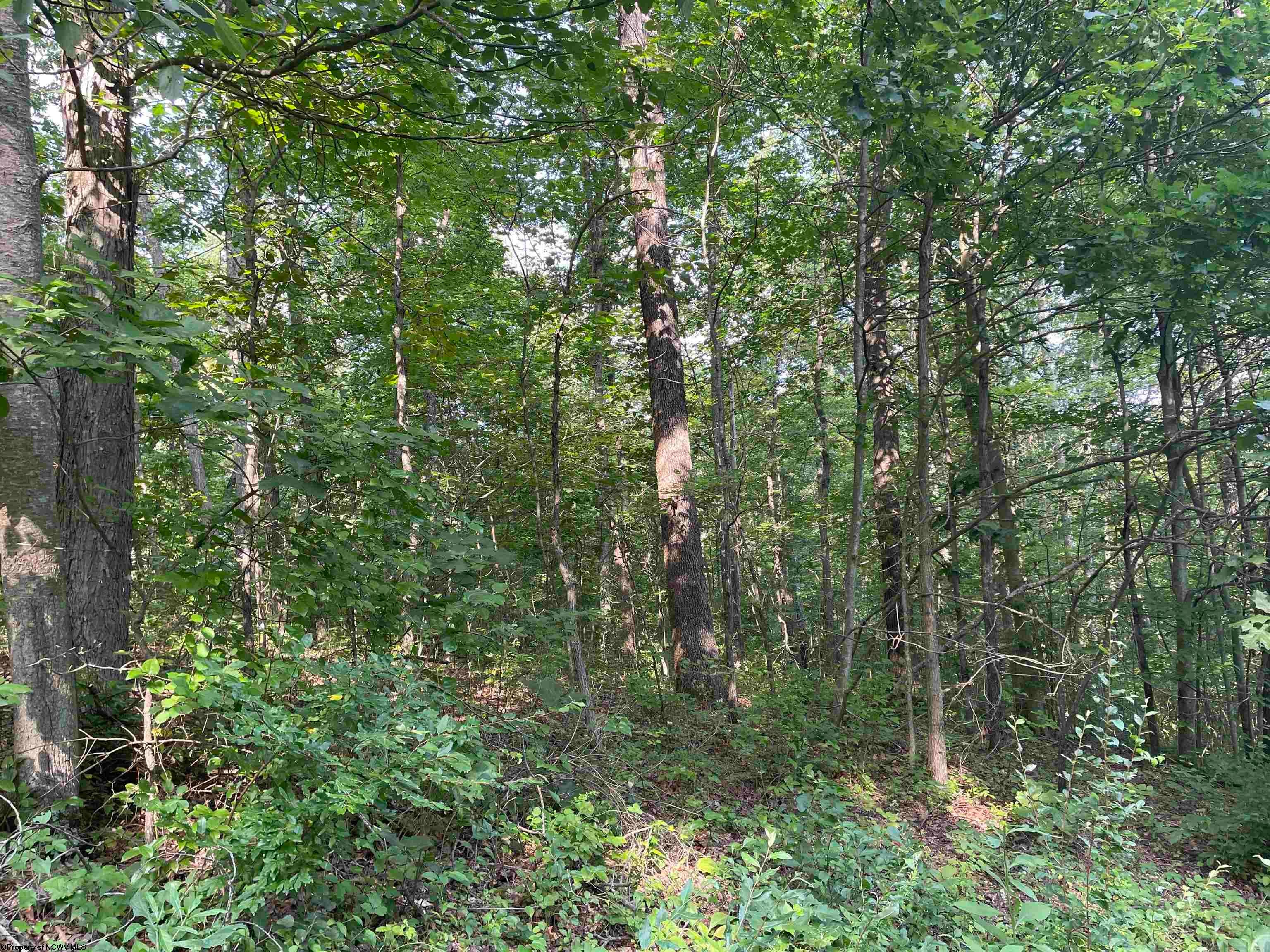 Tbd Mount Clare Road Mount Clare, WV 26408 - Photo 31 of 45 Gallery Image 31