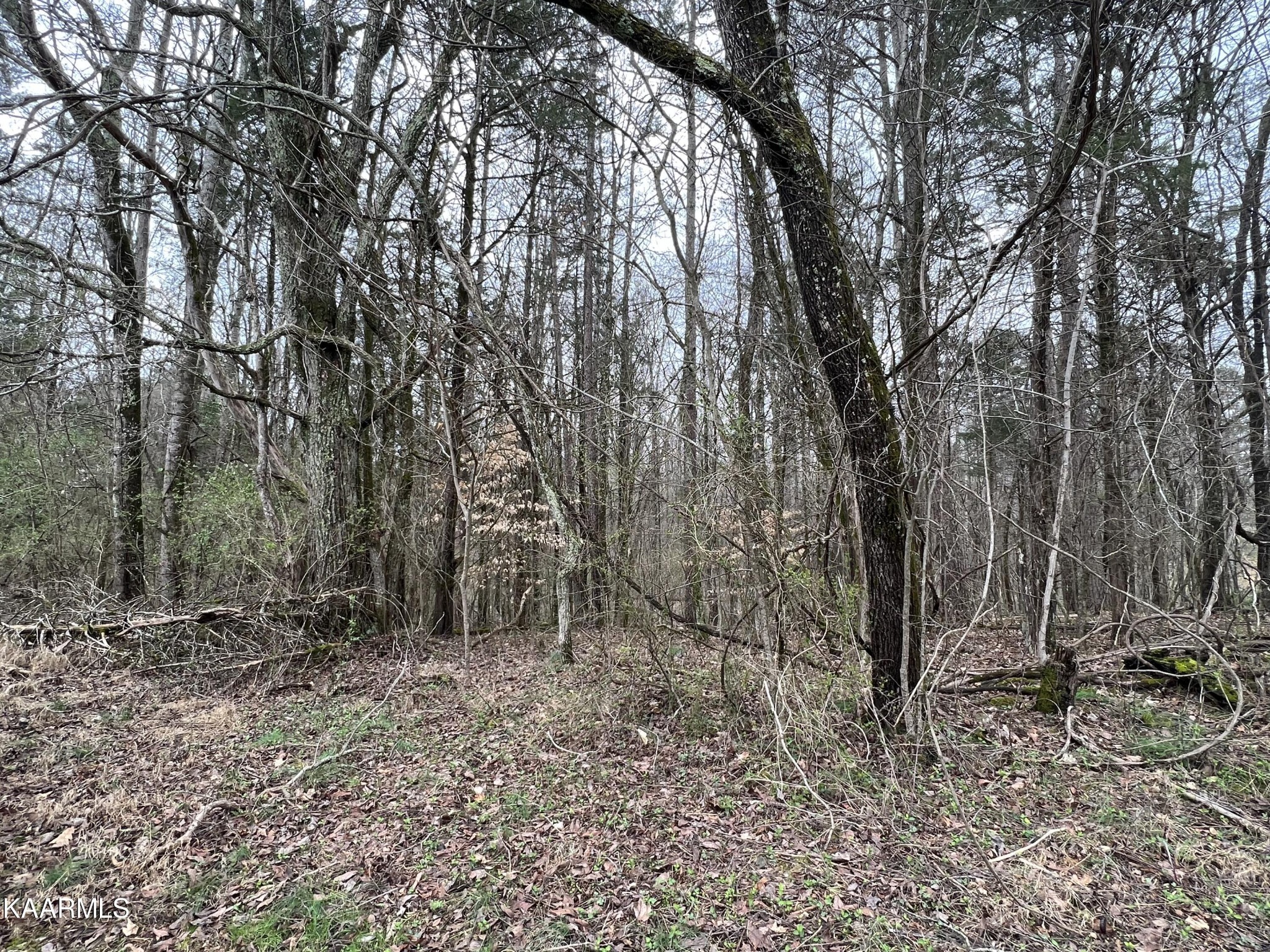 186 Duff Road Loudon, TN 37774 - Photo 14 of 14 Gallery Image 14