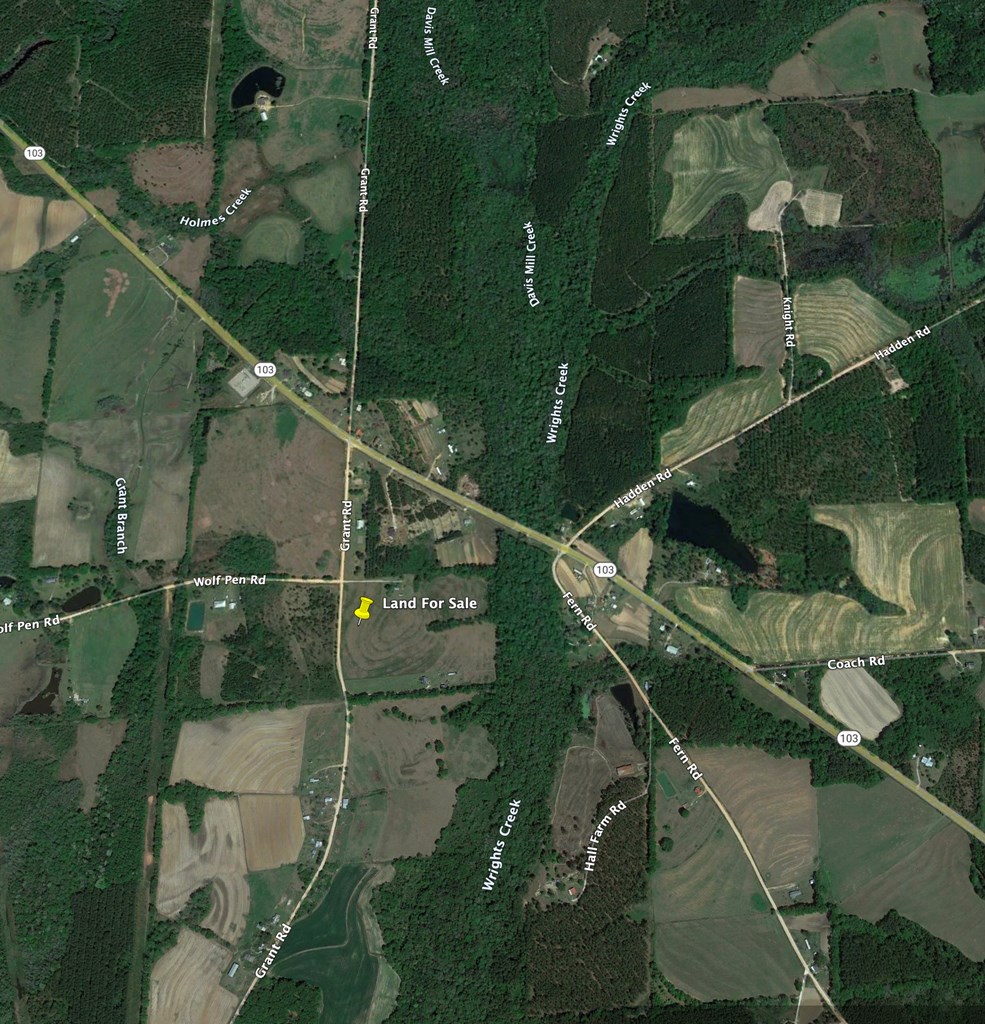 24.6-acres Grant Road Slocomb, AL 36375 - Photo 13 of 17