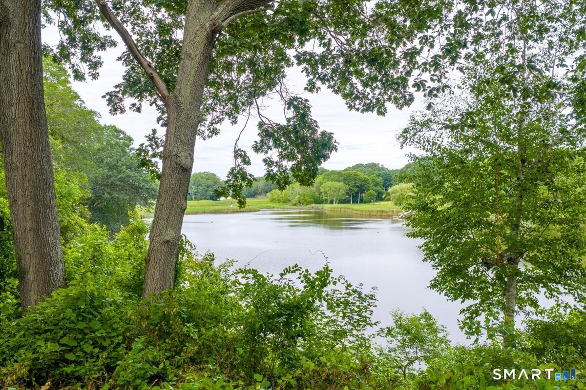 41 B River Road Essex, CT 06426 - Photo 9 of 15