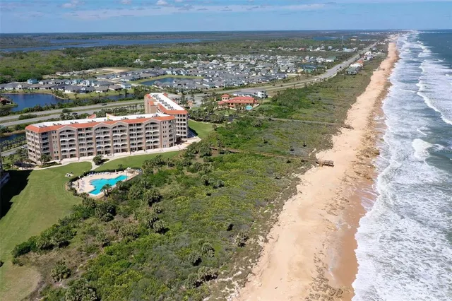 a view of a park with large trees