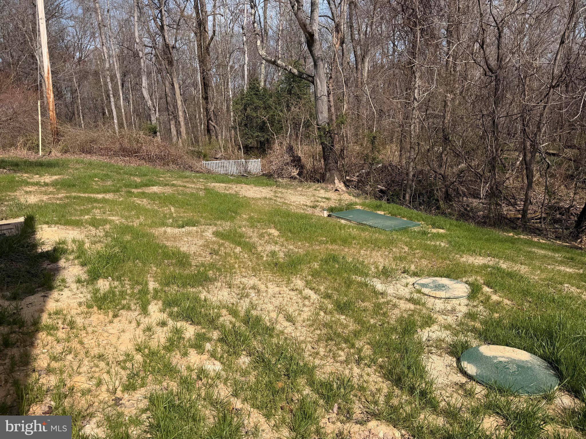 7285 Clyde Jones Road Owings, MD 20736 - Photo 35 of 37 Back yard