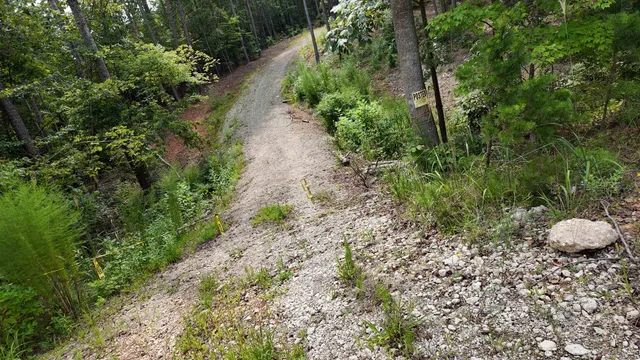 $40,000 | 0 Old Georgia Highway, Cowpens, SC 29330