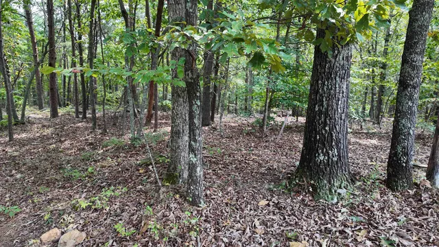 $40,000 | 0 Old Georgia Highway, Cowpens, SC 29330