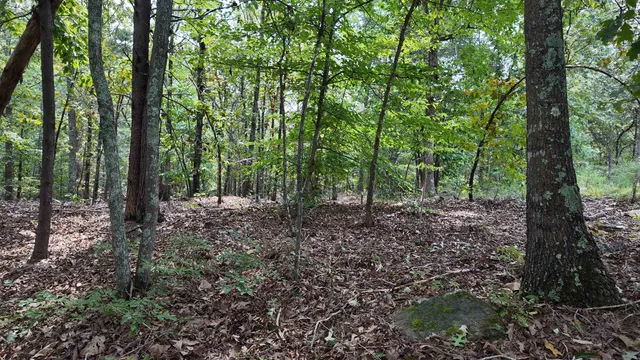 $40,000 | 0 Old Georgia Highway, Cowpens, SC 29330