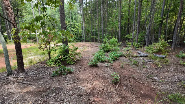 $40,000 | 0 Old Georgia Highway, Cowpens, SC 29330