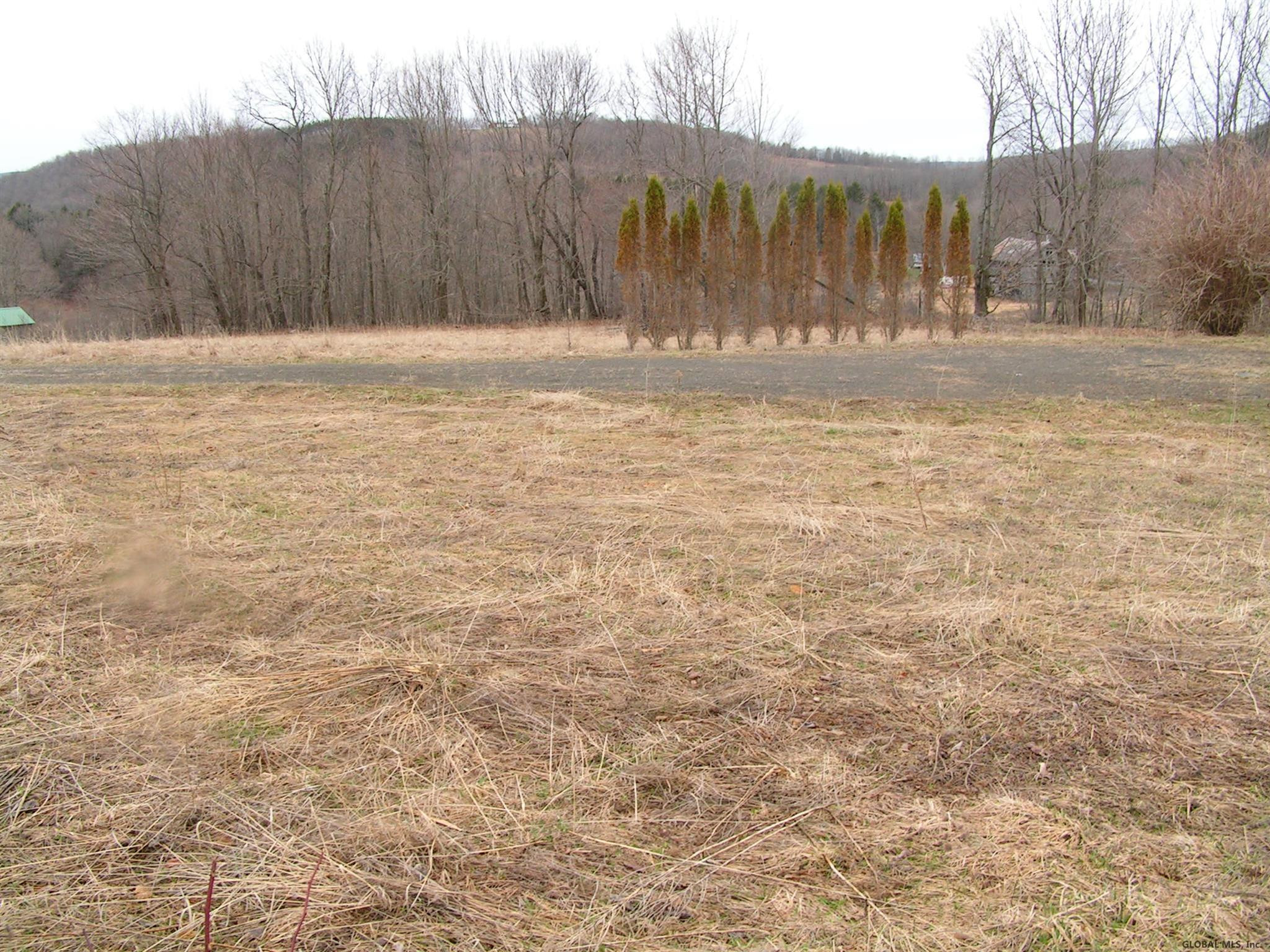 539 Hill Road Worcester, NY 12197 - Photo 3 of 6 Photo 3