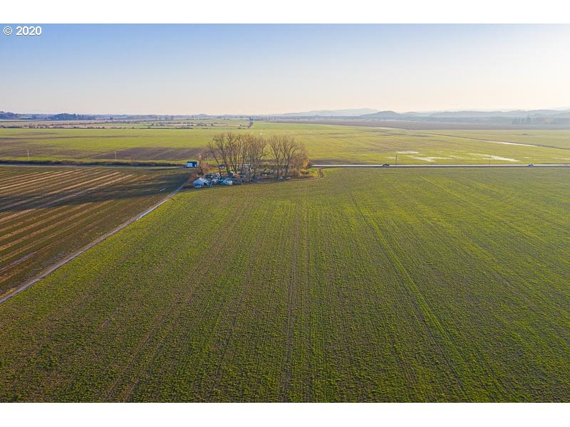 27103 Greenberry Road Corvallis, OR 97333 - Photo 11 of 30 Gallery Image 11