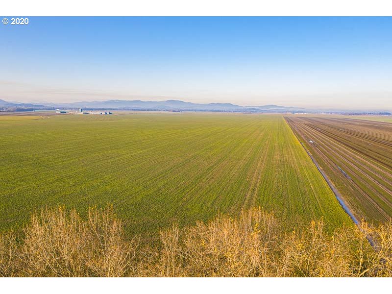27103 Greenberry Road Corvallis, OR 97333 - Photo 10 of 30 Gallery Image 10