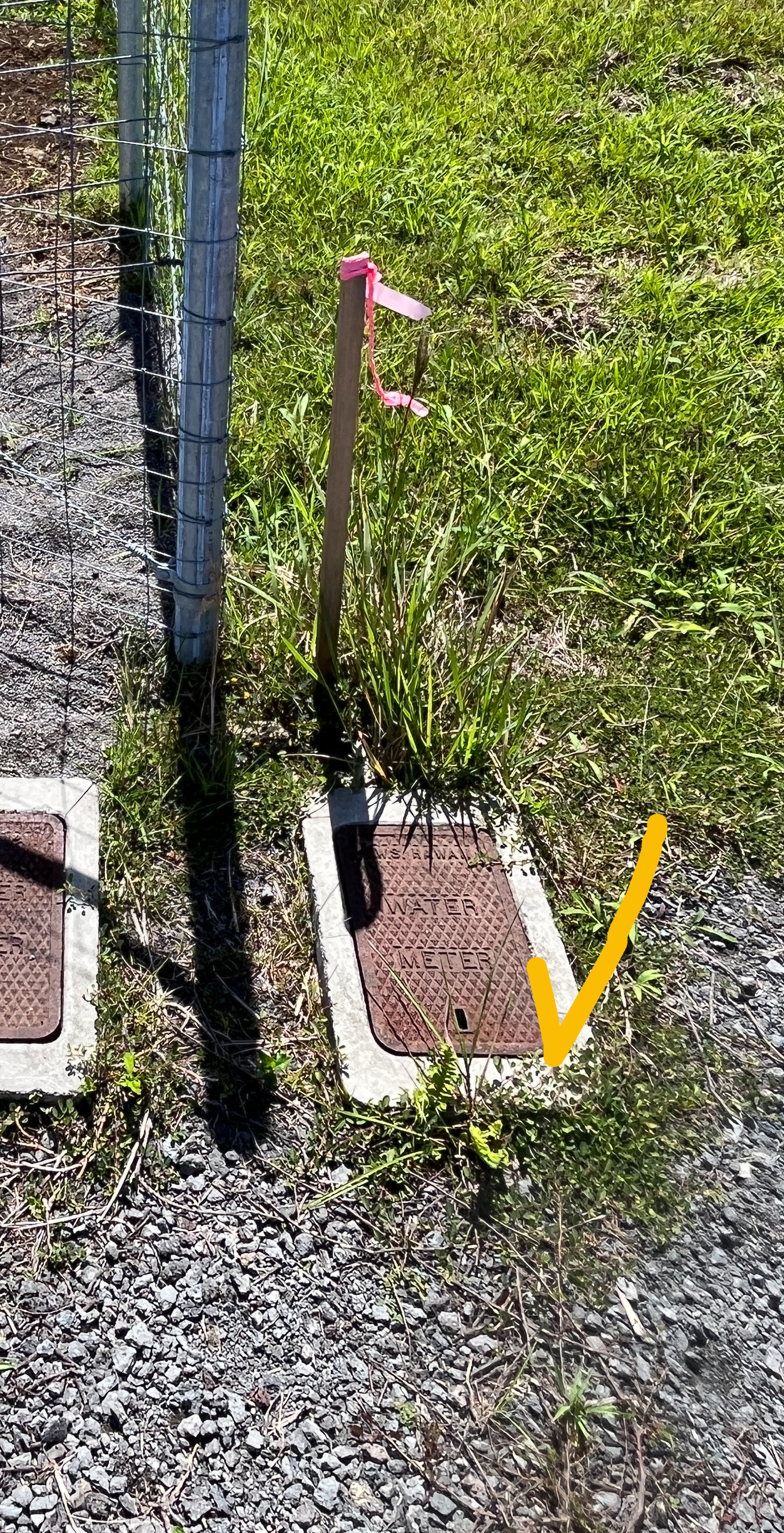 Lot A Lot A Young Road Hilo, HI 96720 - Photo 13 of 14 a backyard of a house with lots of green space