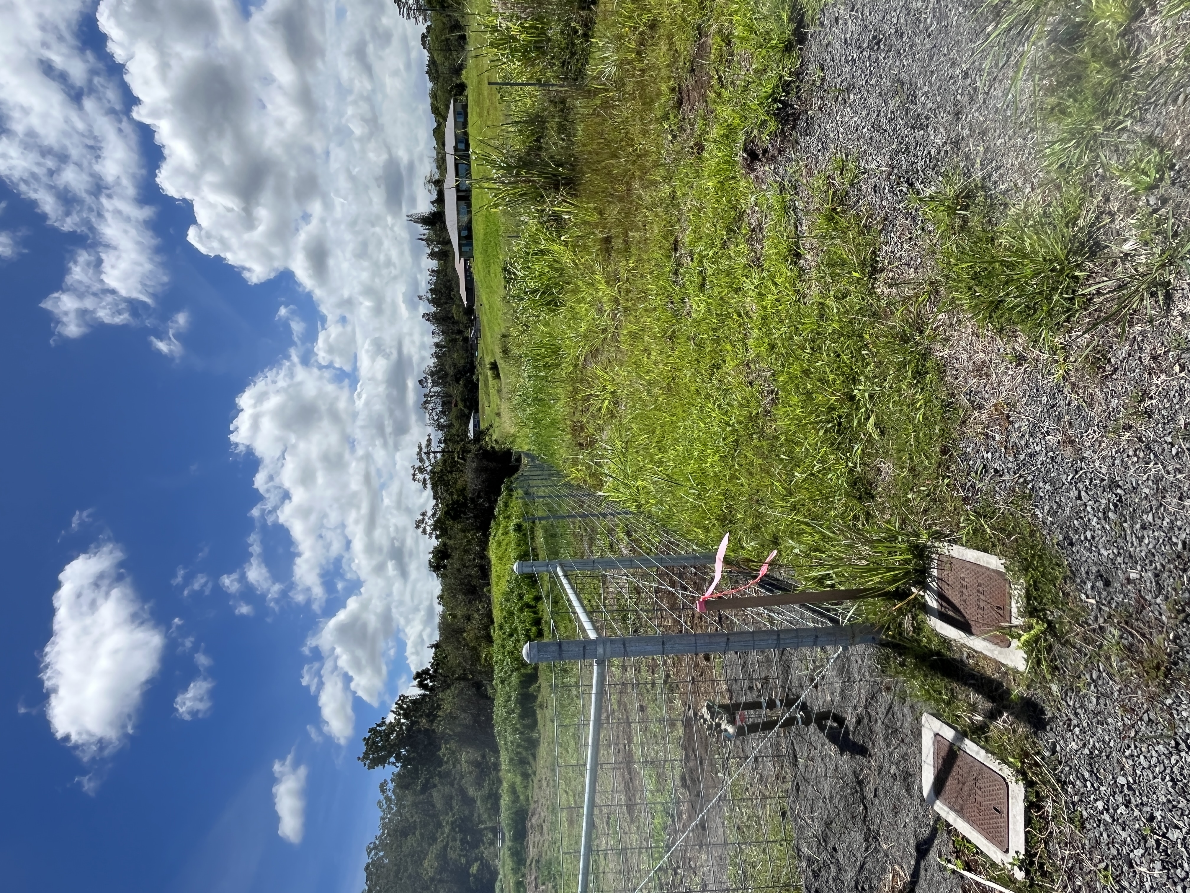 Lot A Lot A Young Road Hilo, HI 96720 - Photo 4 of 14 a view of a lake with a city