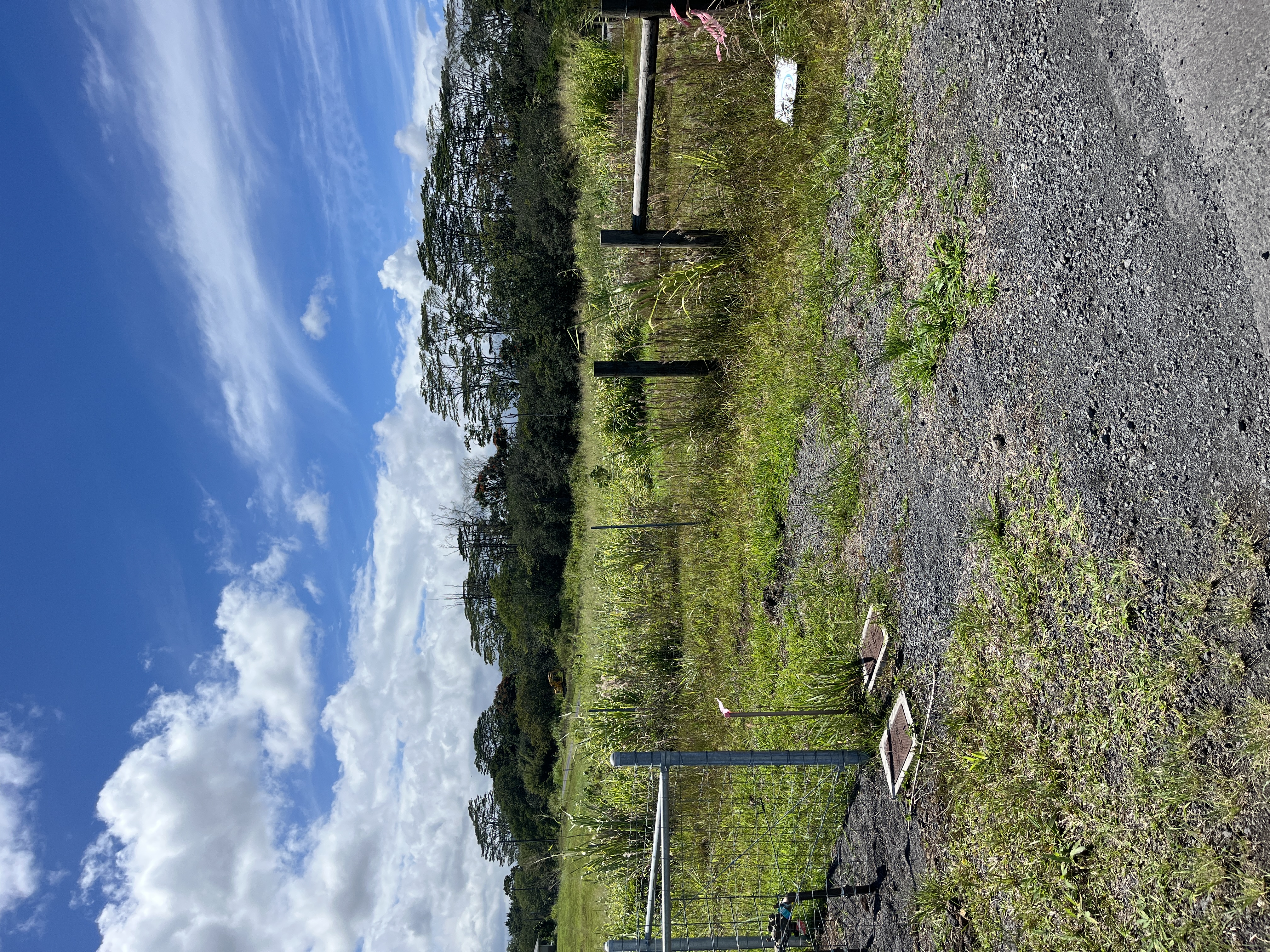 Lot A Lot A Young Road Hilo, HI 96720 - Photo 5 of 14 a view of lake with green space