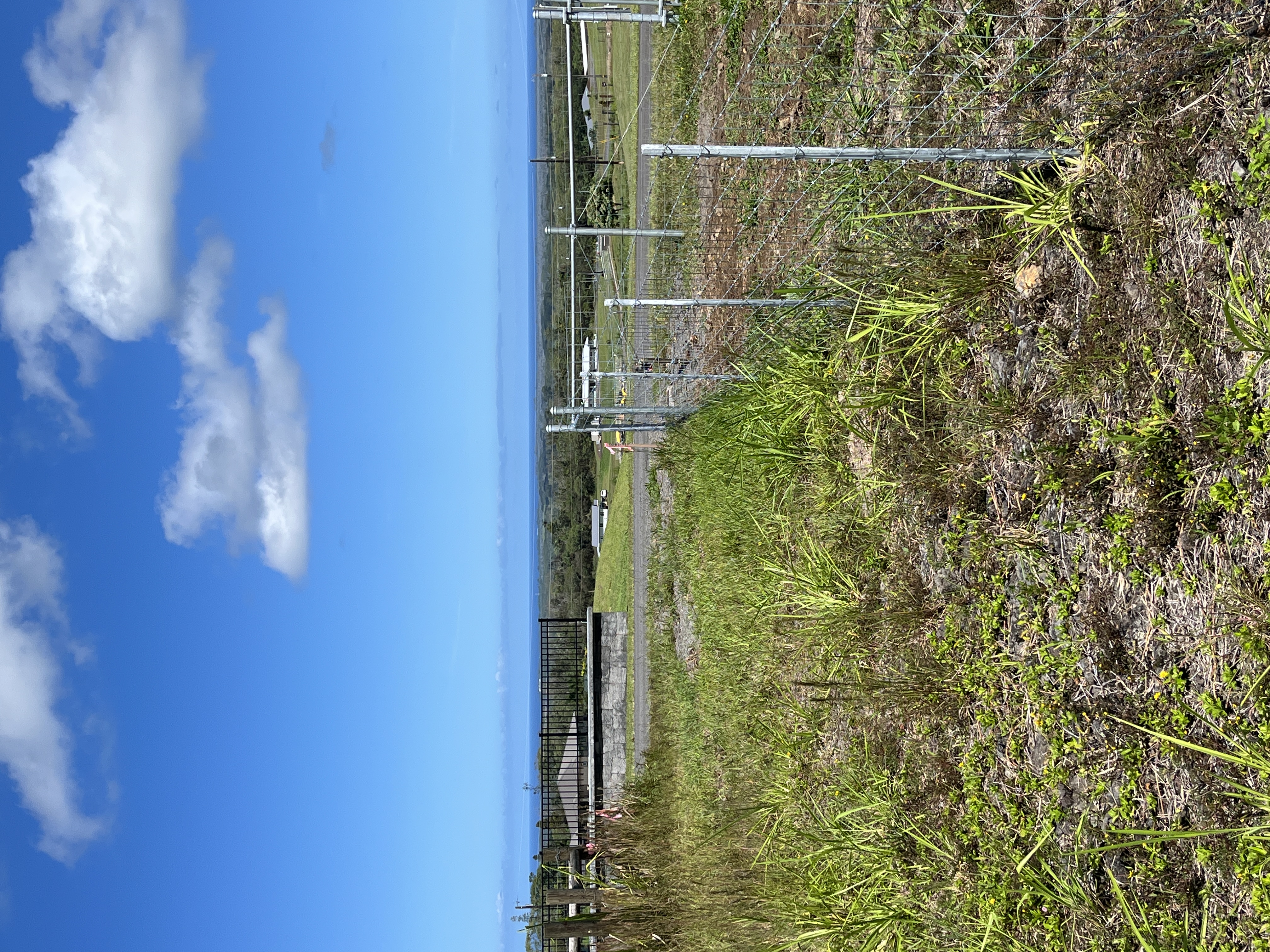 Lot A Lot A Young Road Hilo, HI 96720 - Photo 6 of 14 a view of an ocean from a yard