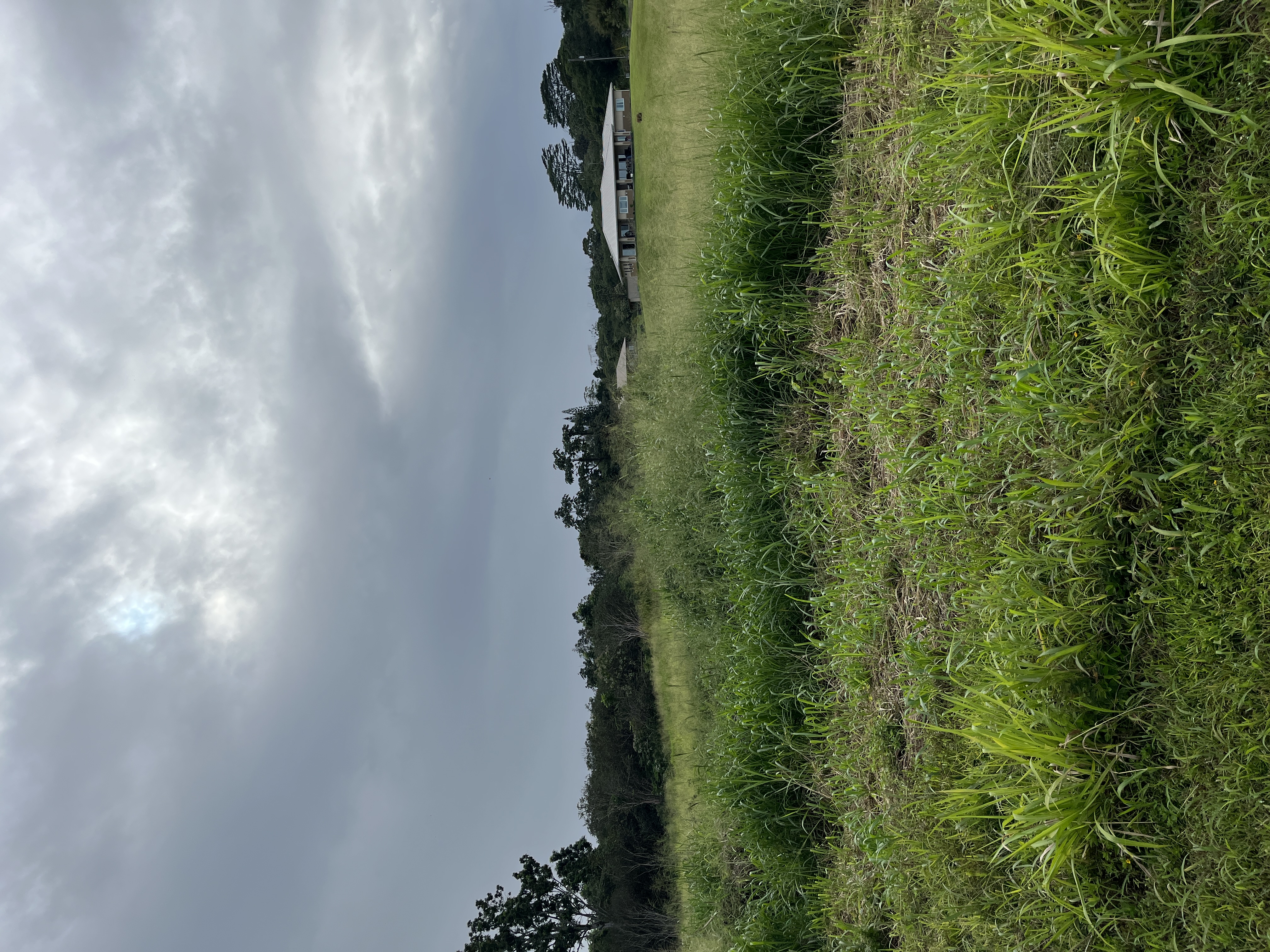 Lot A Lot A Young Road Hilo, HI 96720 - Photo 8 of 14 a view of a lake with a yard in back