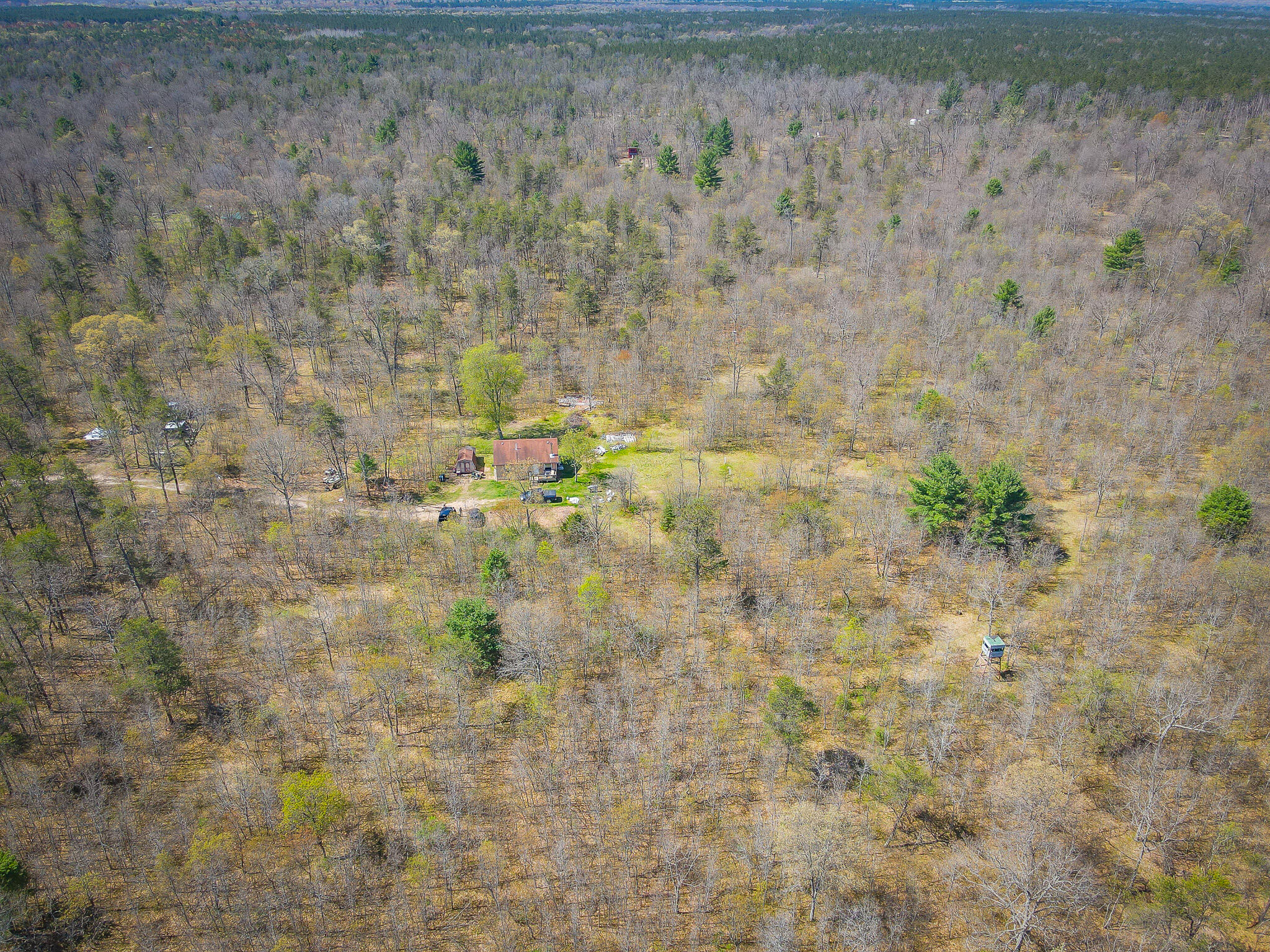 dji_fly_20240506_113846_848_171500993956