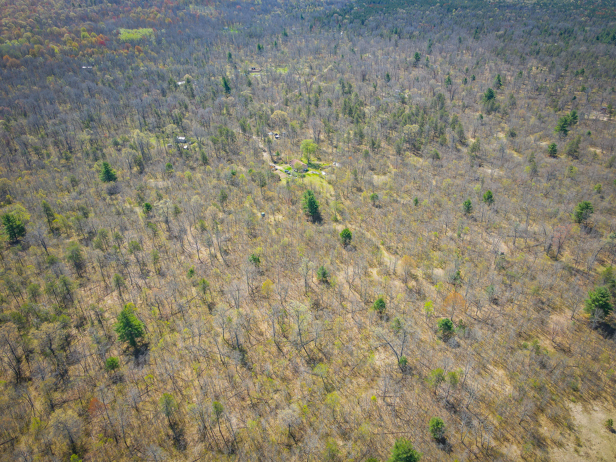 10109 Yates Trail Reed City, MI 49677 - Photo 8 of 38 dji_fly_20240506_113940_851_171500999292