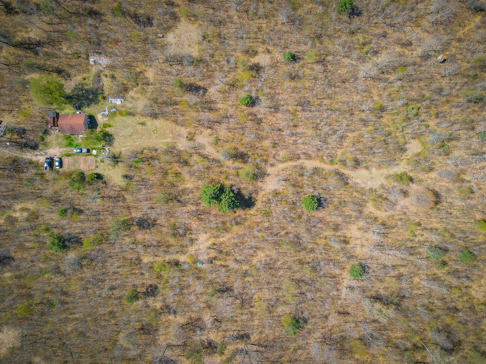 10109 Yates Trail Reed City, MI 49677 - Photo 9 of 38 dji_fly_20240506_114008_852_171501002187