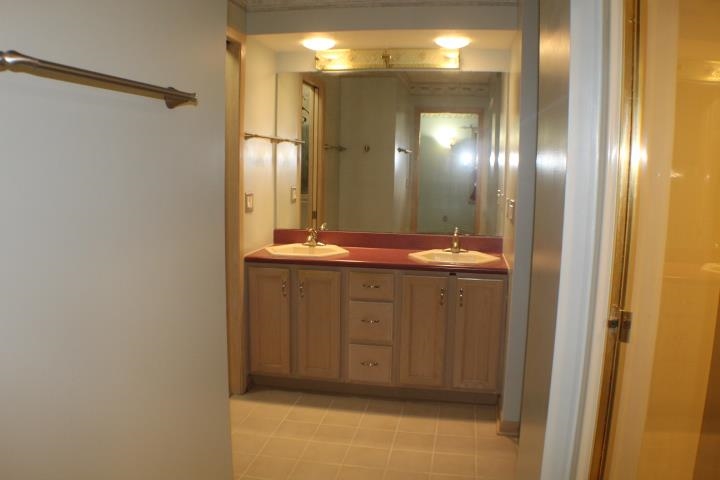 11958 Bend River Road Roscoe, IL 61073 - Photo 17 of 42 a bathroom with a mirror and a shower