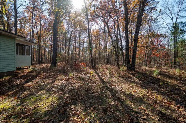 a view of a backyard with large trees