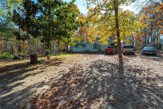 a view of a tree in the middle of a yard