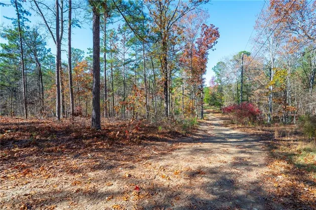a view of a yard with plants and trees