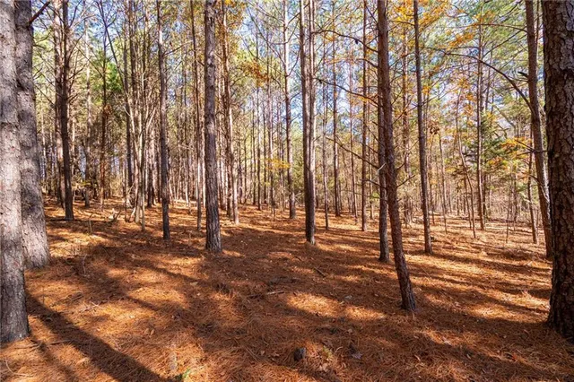 a view of a yard with a tree