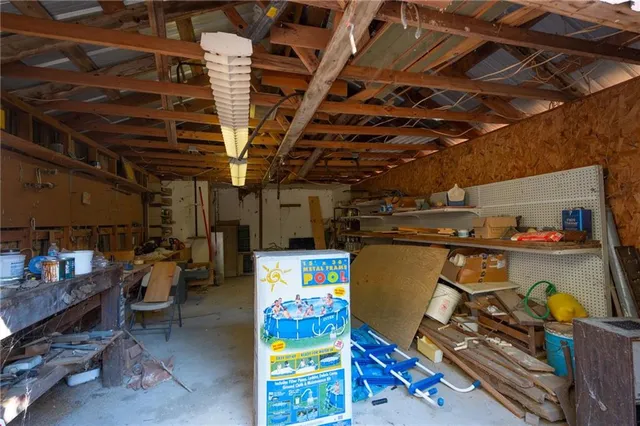 a view of a yard with plants and trees