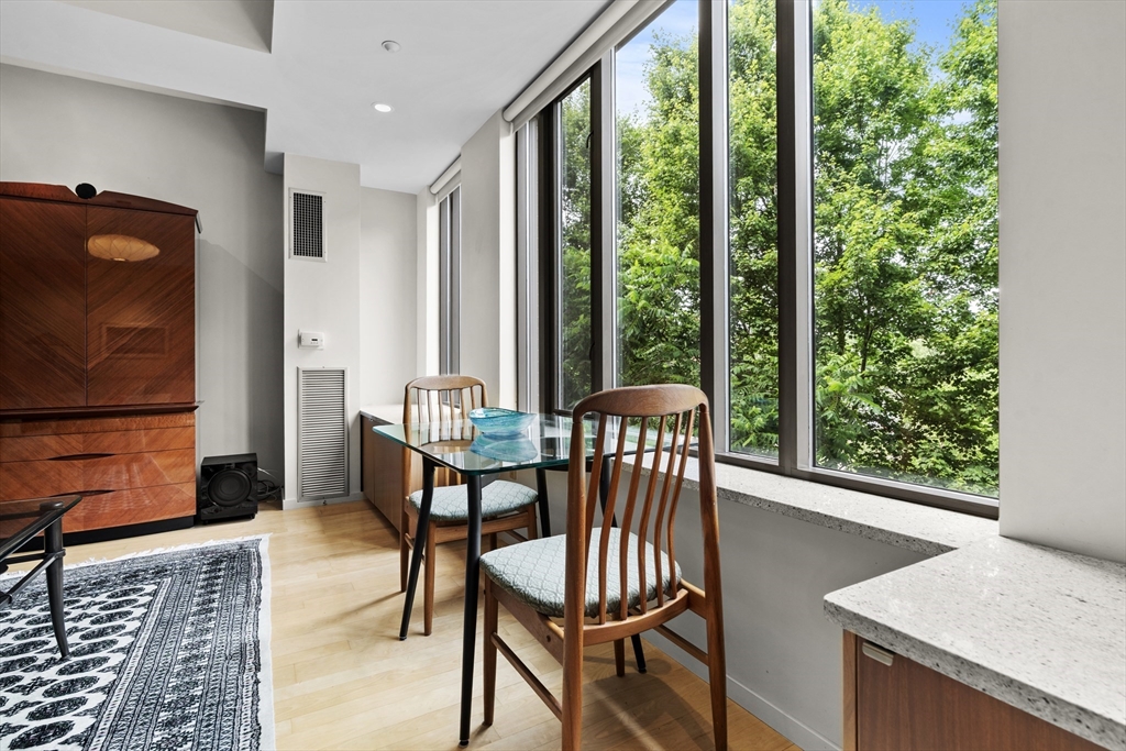 1313 Washington Street, Unit 305 Boston, MA 02118 - Photo 4 of 28 Gallery Image 4