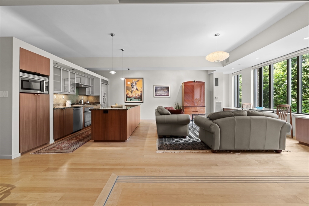 1313 Washington Street, Unit 305 Boston, MA 02118 - Photo 6 of 28 Gallery Image 6