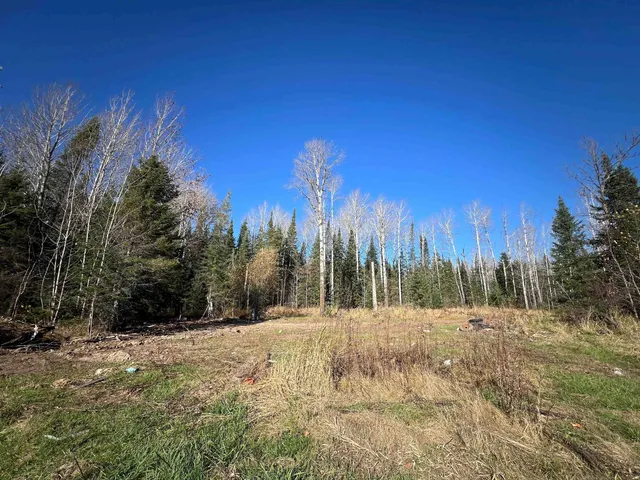 $42,000 | 8624 Zim Road, Forbes, MN 55738