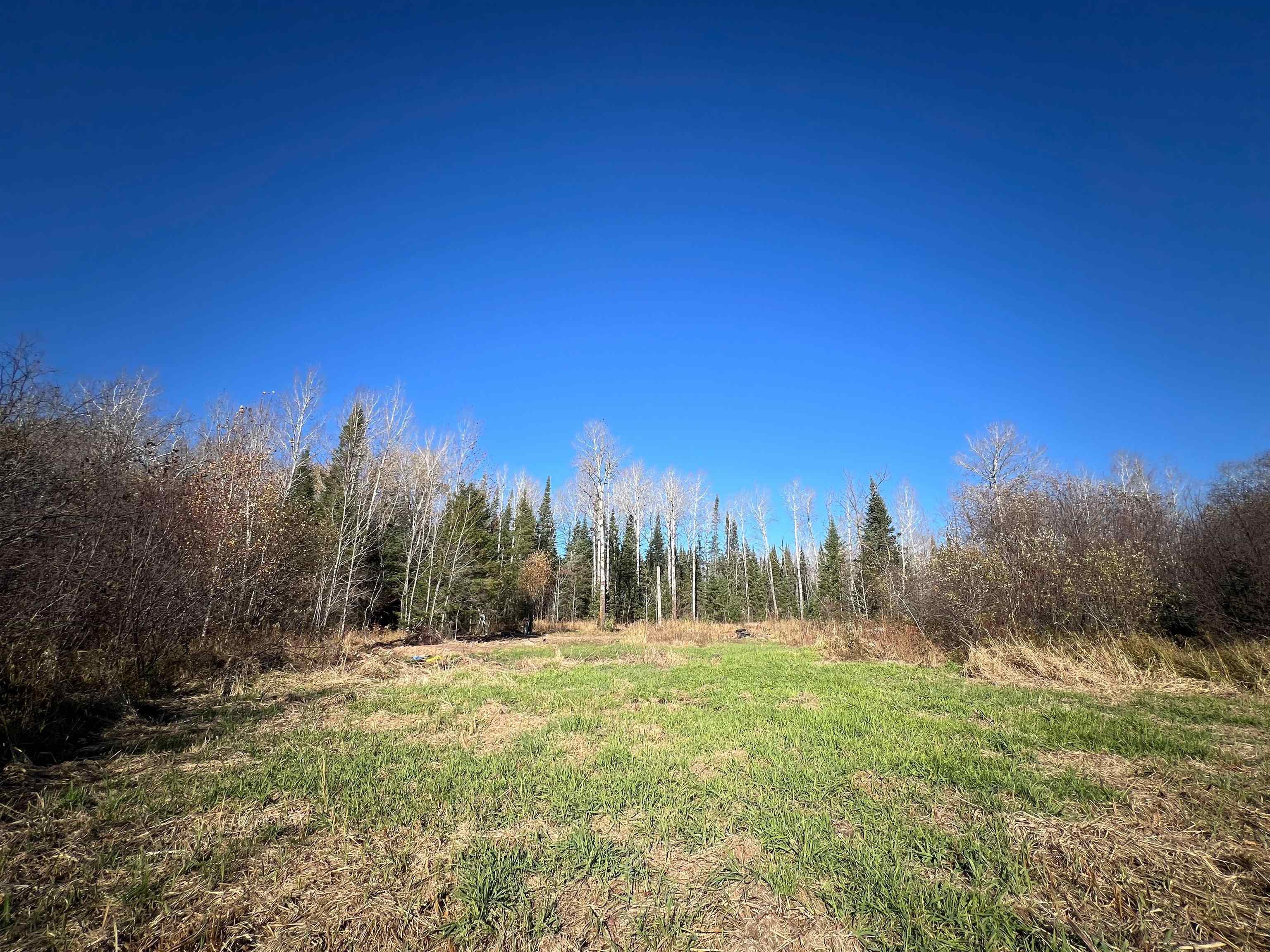 8624 Zim Road Forbes, MN 55738 - Photo 13 of 17