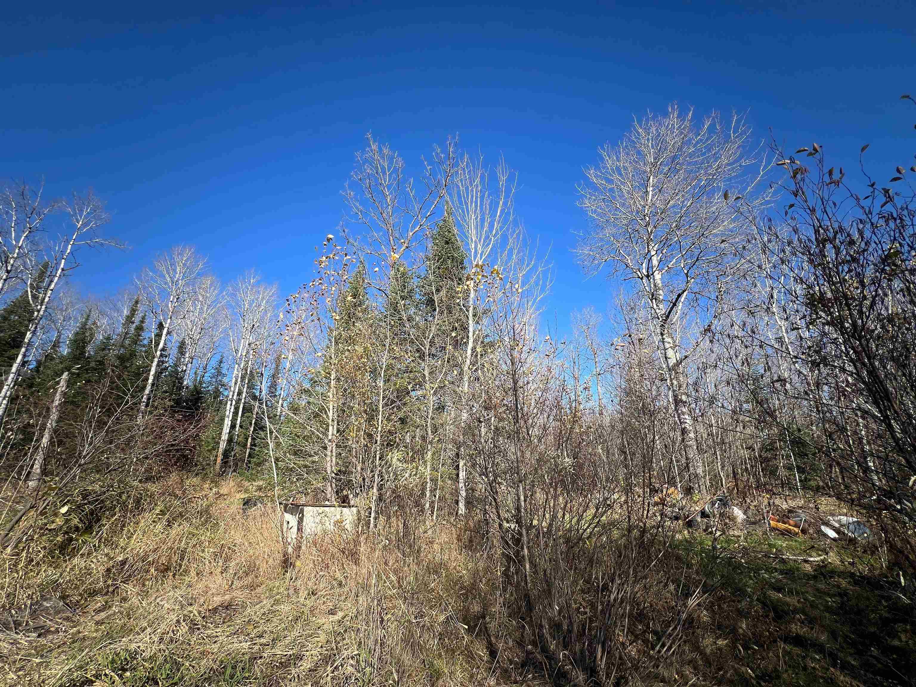 8624 Zim Road Forbes, MN 55738 - Photo 15 of 17