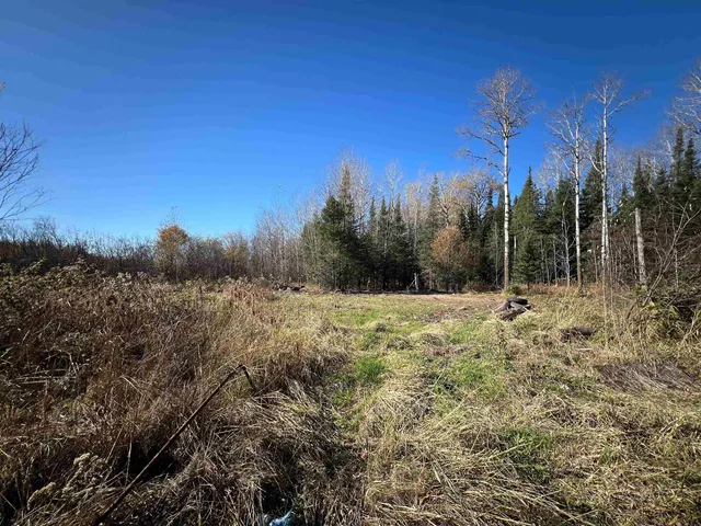 $42,000 | 8624 Zim Road, Forbes, MN 55738