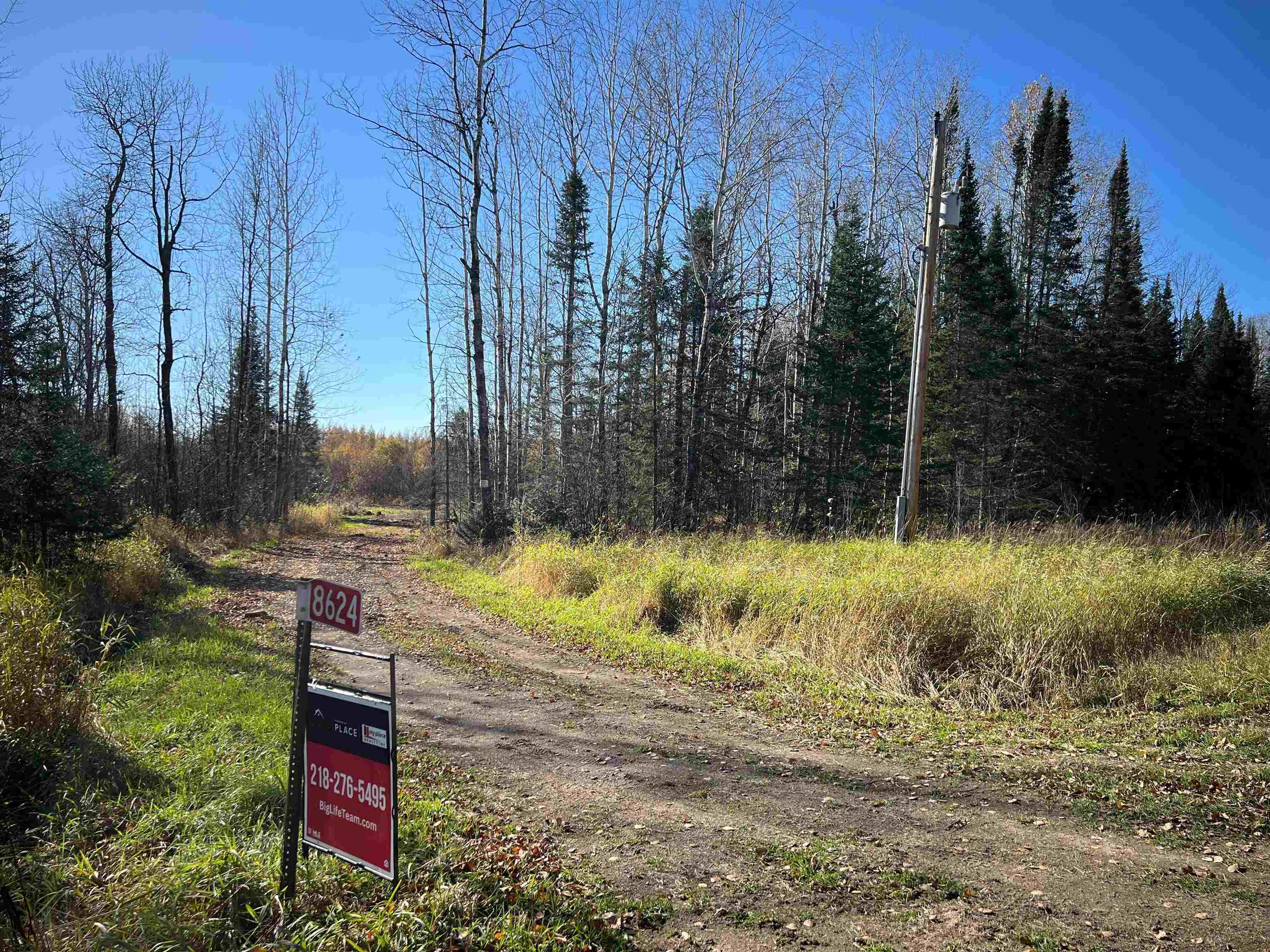 8624 Zim Road Forbes, MN 55738 - Photo 2 of 17