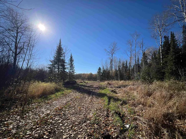 $42,000 | 8624 Zim Road, Forbes, MN 55738