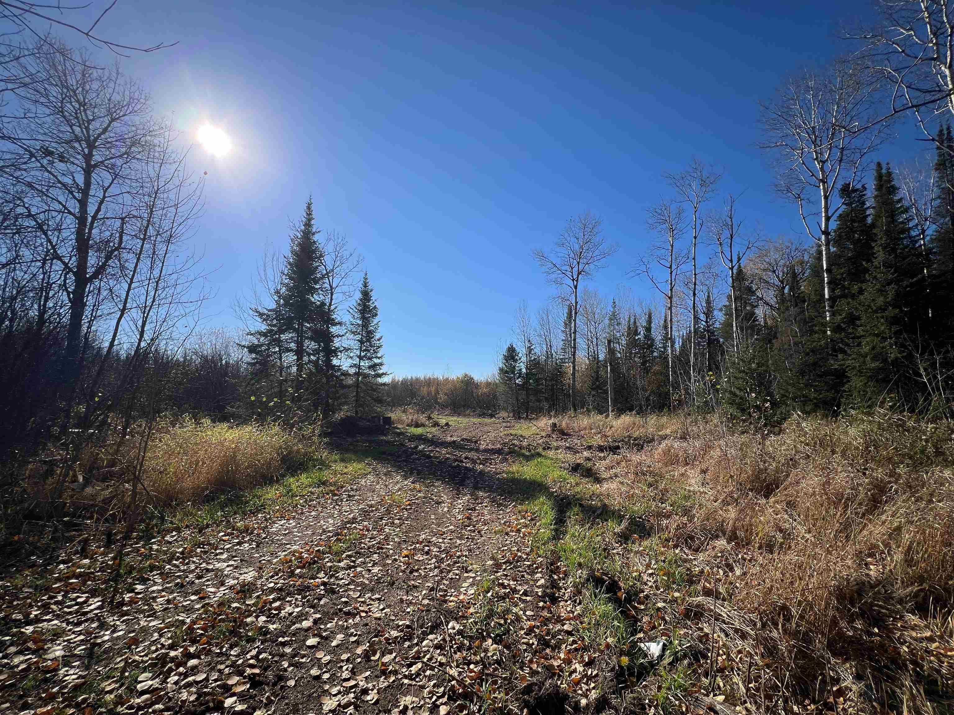 8624 Zim Road Forbes, MN 55738 - Photo 4 of 17