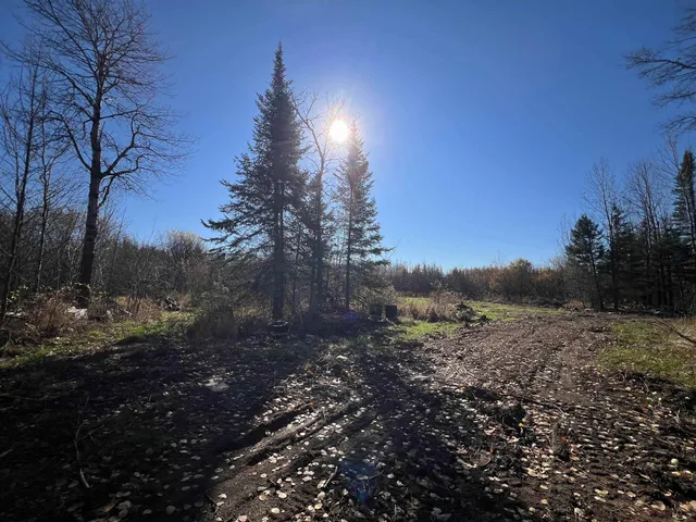 $42,000 | 8624 Zim Road, Forbes, MN 55738