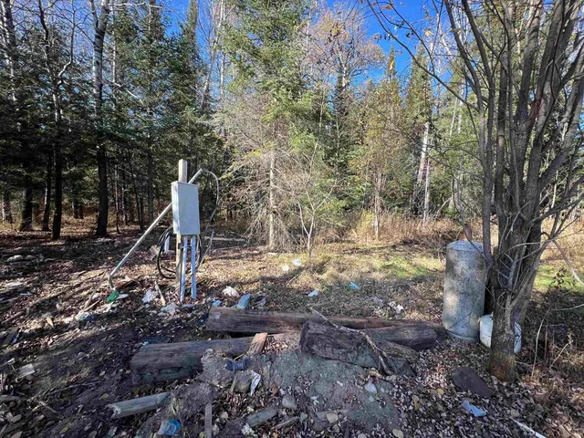 $42,000 | 8624 Zim Road, Forbes, MN 55738